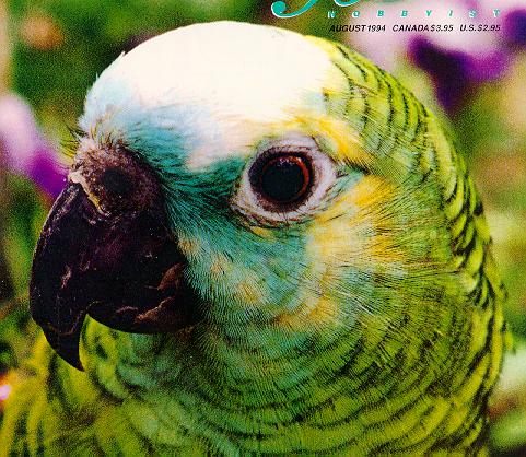[Bird-Parrot-BlueFrontAmazon.jpg]