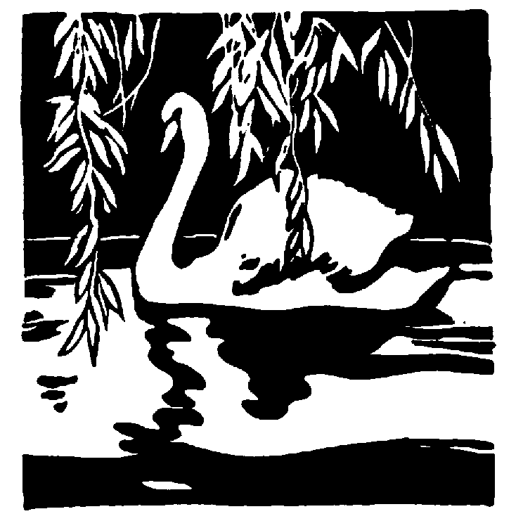 [BirdArt_1205-Swan-Floating.gif]