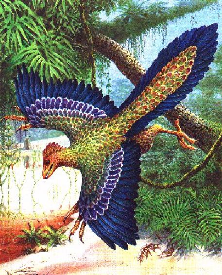 [ExtinctBird-Archaeopteryx.jpg]