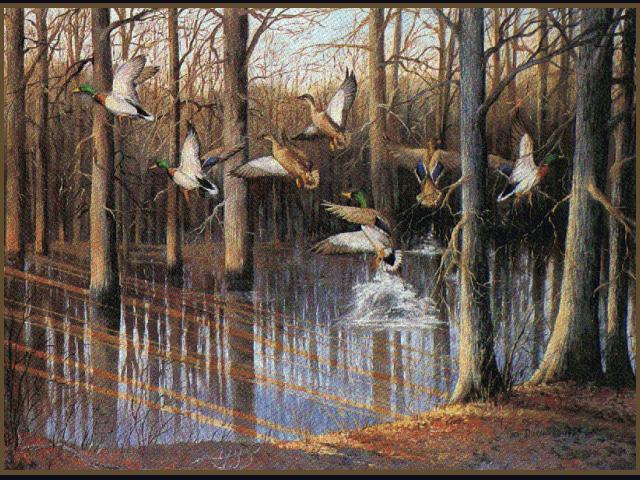 [bird030-MallardDucks_flock_starts_flight-Painting_art.jpg]
