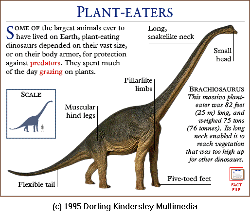 [DKMMNature-Dinosaur-Brachiosaurus.gif]