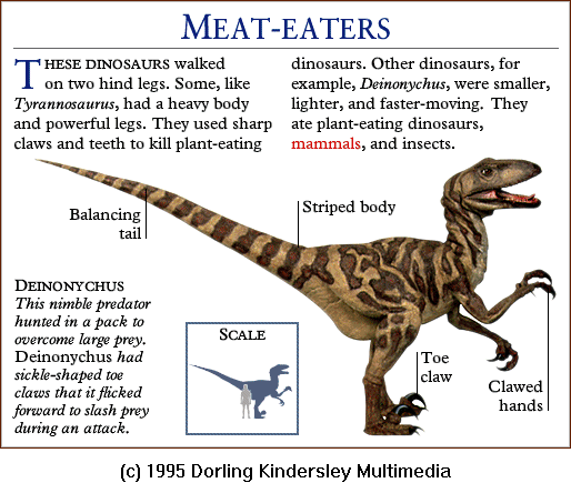 [DKMMNature-Dinosaur-Deinonychus.gif]