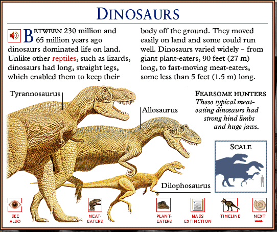 [DKMMNature-Dinosaurs-Tyrannosaurusrex-Allosaurus-Dilophosau.jpg]