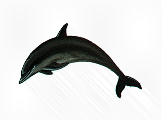 [Clipart-dolphin02-blue.gif]