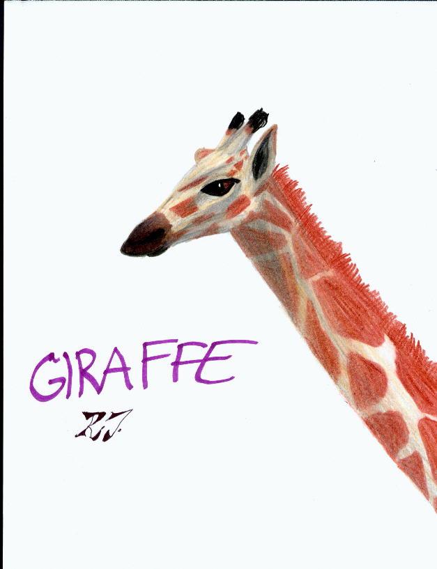 [Giraffe2-Drawing-Head.jpg]
