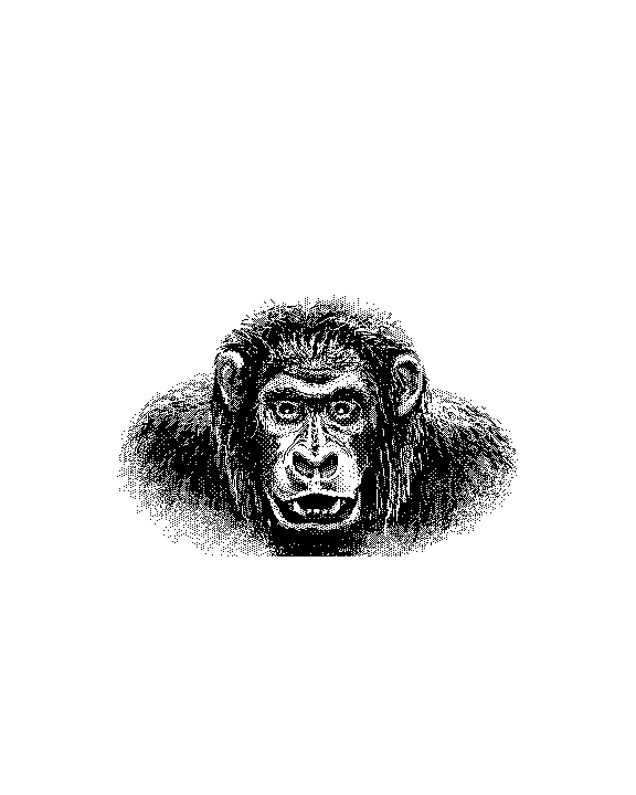 [PenDrawing-gorilla1.gif]