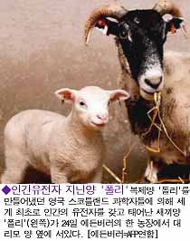 [199707260023-SheepClone-lamb-Polly.jpg]