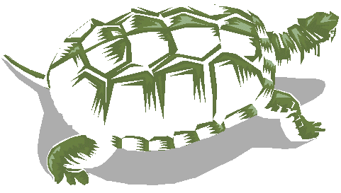 [Clipart-Turtle1.gif]
