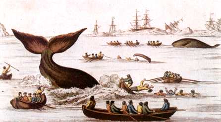 [Anmaq019-Painting-Hunting_SpermWhales.jpg]