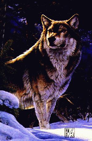 [Graywolf-the_sentinel-Al_Agnew.jpg]