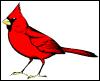 [RedBird-Clipart-Cardinal]