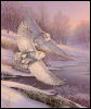 [Wswart08-2SnowyOwls-InFlight-Snow lake and forest]