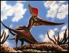 [d2-FlyingDinosaur-Pteranodon]